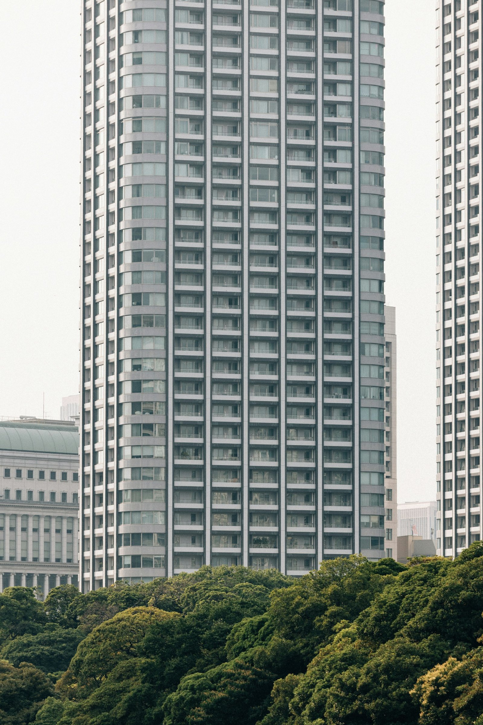 Dense tree canopy alongside urban apartment towers